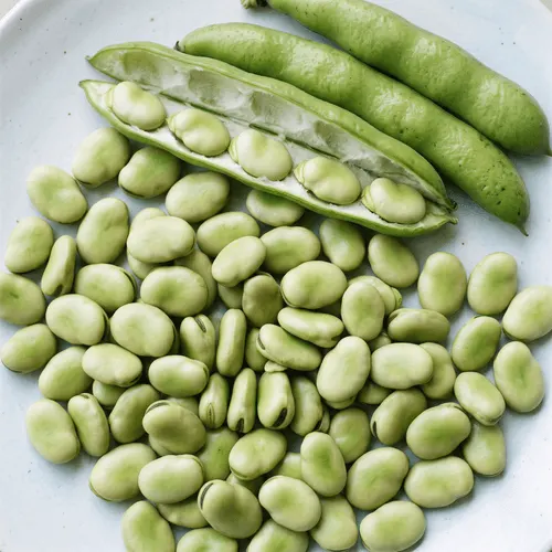 Broad bean