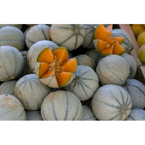 Cantaloupe