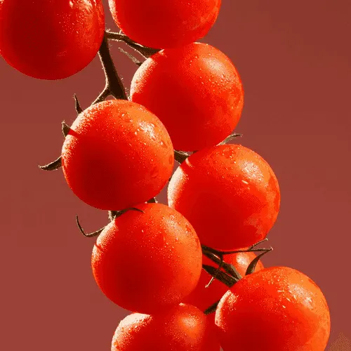 Cherry tomato