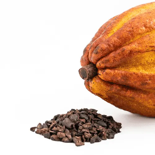 Cocoa nibs