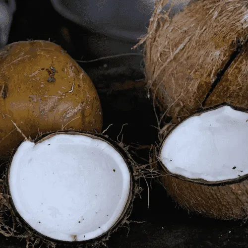 Coconut