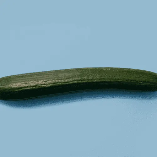 Cucumber