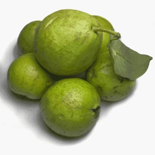 Guava