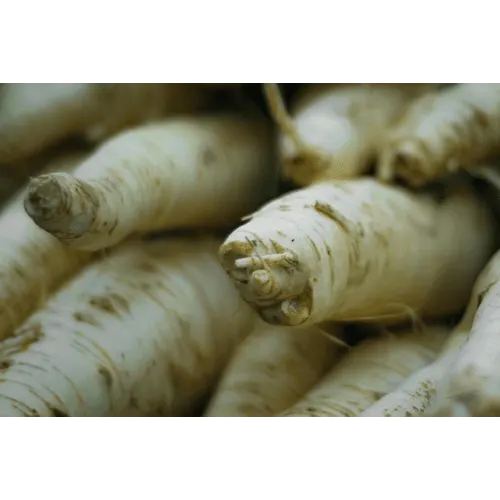 Horseradish