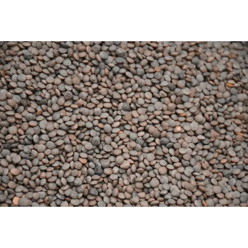 Lentils