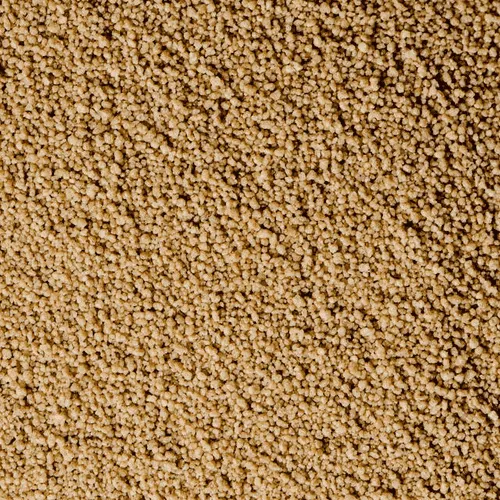 Millet