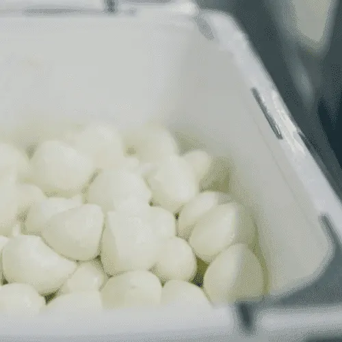 Mozzarella