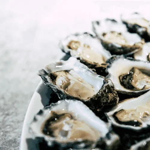 Oyster