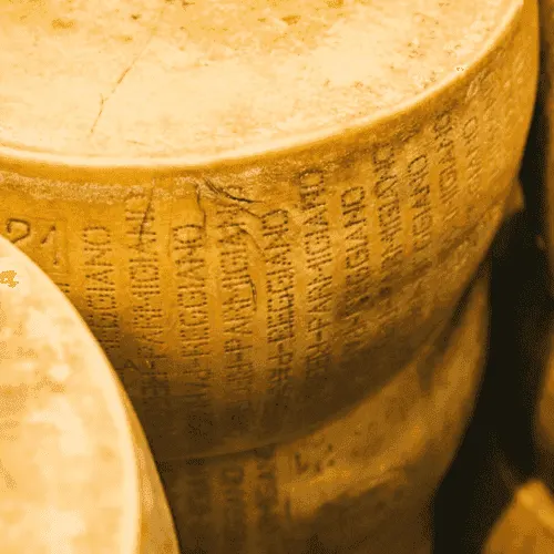 Parmesan