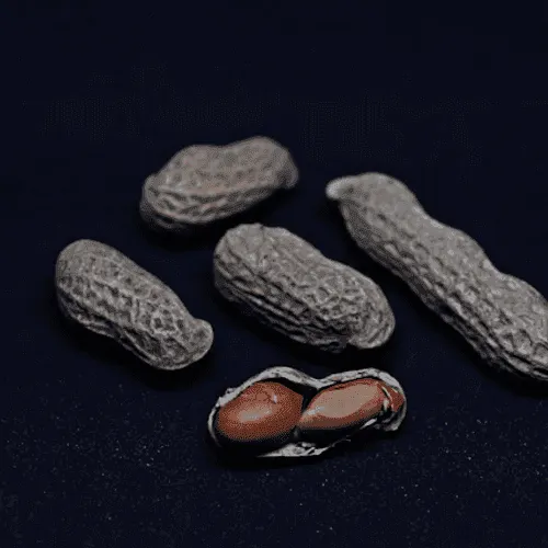 Peanut