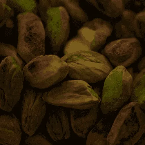 Pistachio nuts