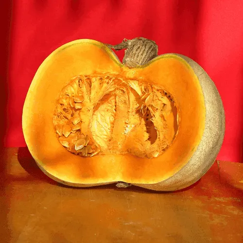 Pumpkin