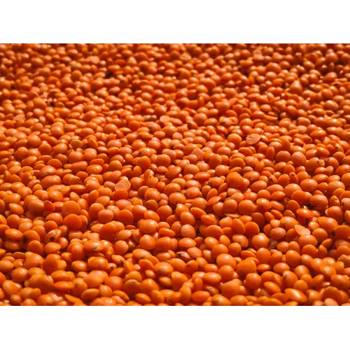 Red lentils