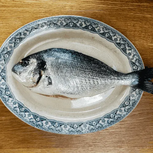 Seabream