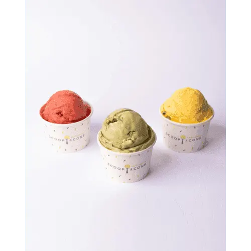 Sorbet