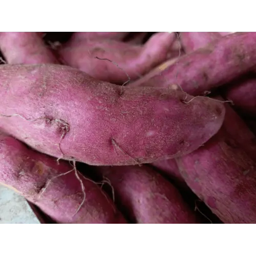 Sweet potato