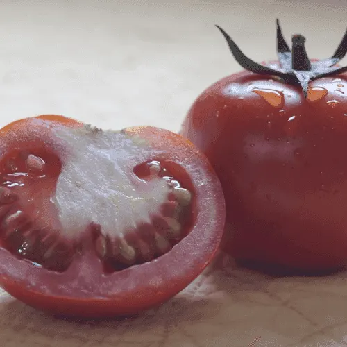 Tomato
