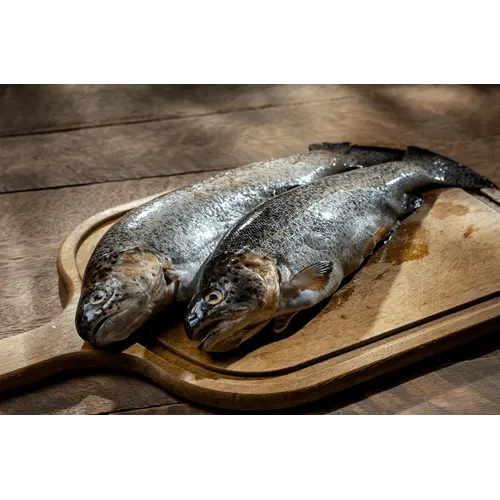 Trout