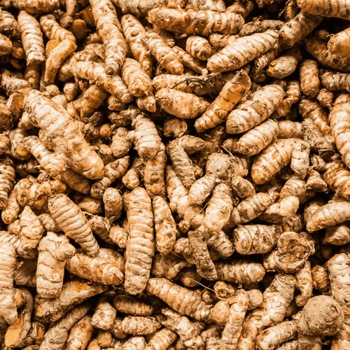 Turmeric