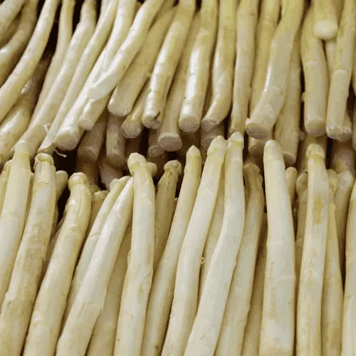 White asparagus